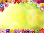 百花图