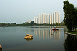 莲花湖岸