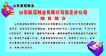 山东鞋业 项目简介