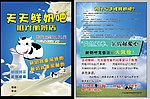 鲜奶吧宣传