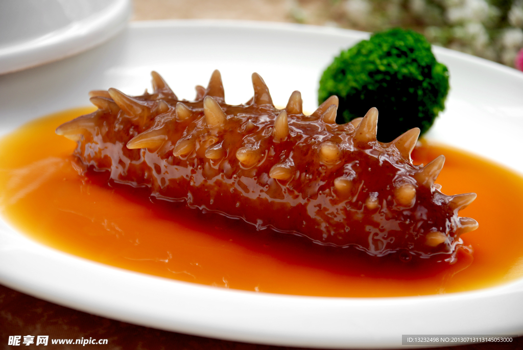 鲍鱼