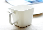 方杯