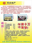 同步地产
