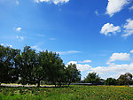 公园美景