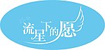 流星下的愿主题标志