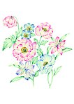 花卉