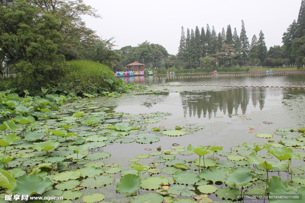 昆山亭林公园风景画