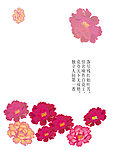 牡丹花