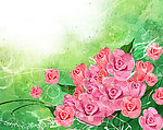 粉红色花朵