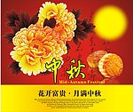 牡丹 中秋节