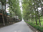 乡间小路