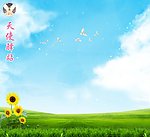 草地