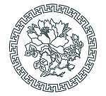 花边 牡丹 花朵
