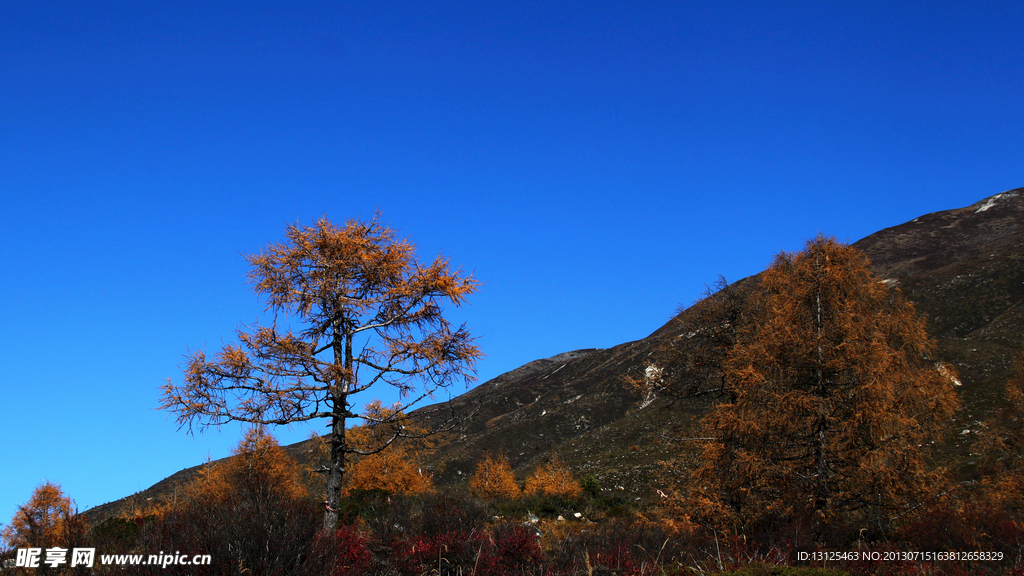 川西旅游摄影