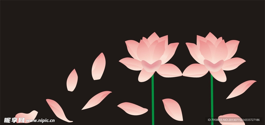 莲花