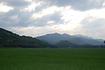 田园风光