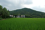鄂东田园