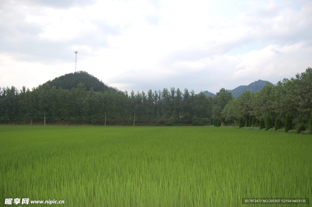 田园风光