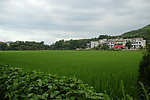 田园风光