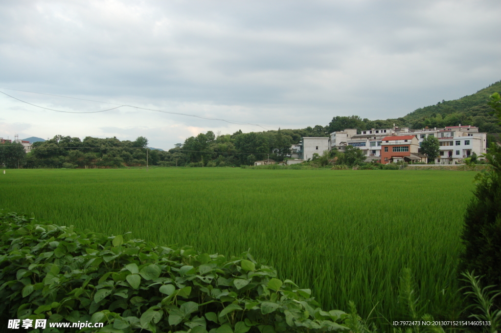 田园风光