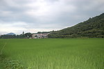 夏天的田野