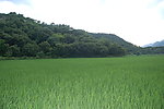 田畈