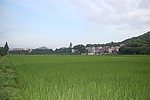 田园风光