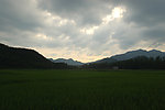 田野暮色