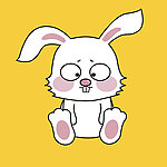 生肖兔