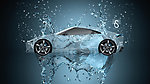 水中汽车