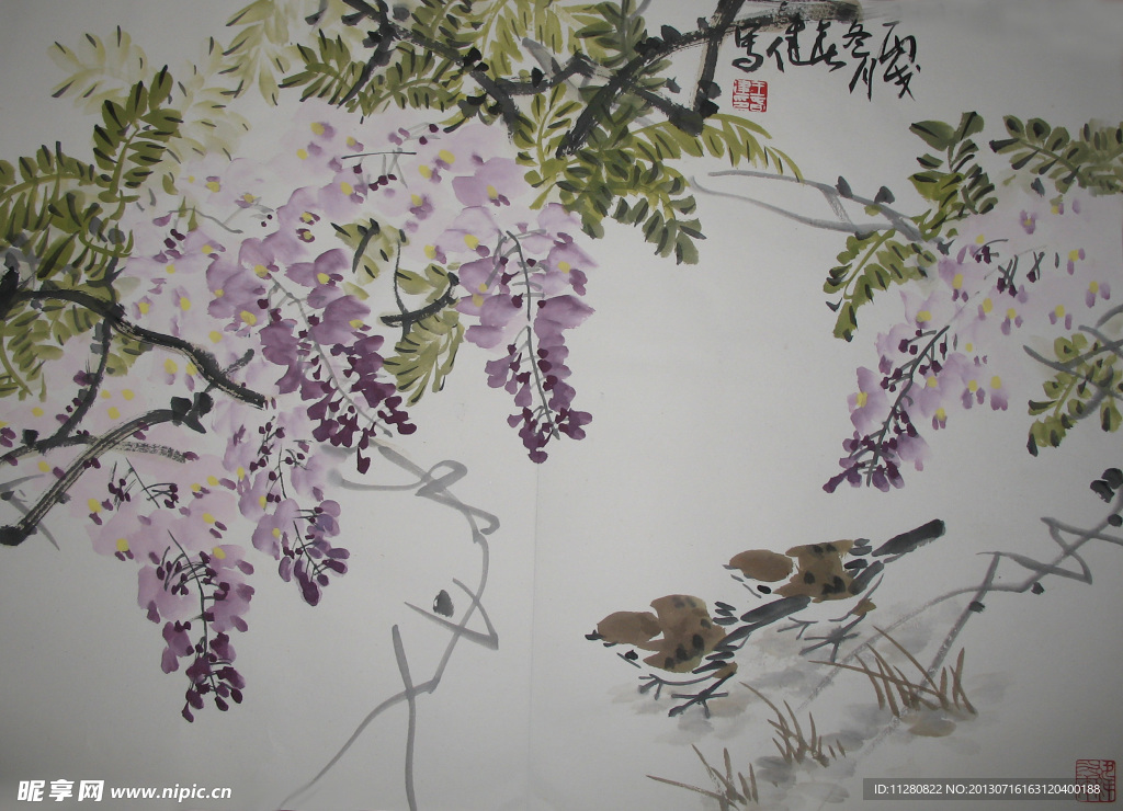 紫藤花