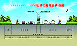 道路绿化横断图