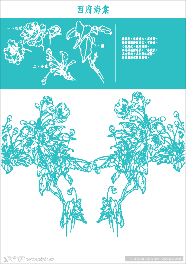 工笔画西府海棠