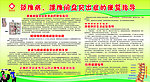 颈椎病 腰椎间盘突出