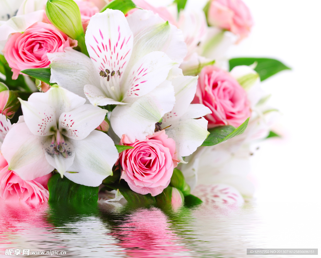 鲜花设计