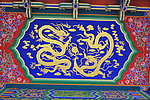 金龙彩绘