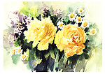 水彩画黄玫瑰