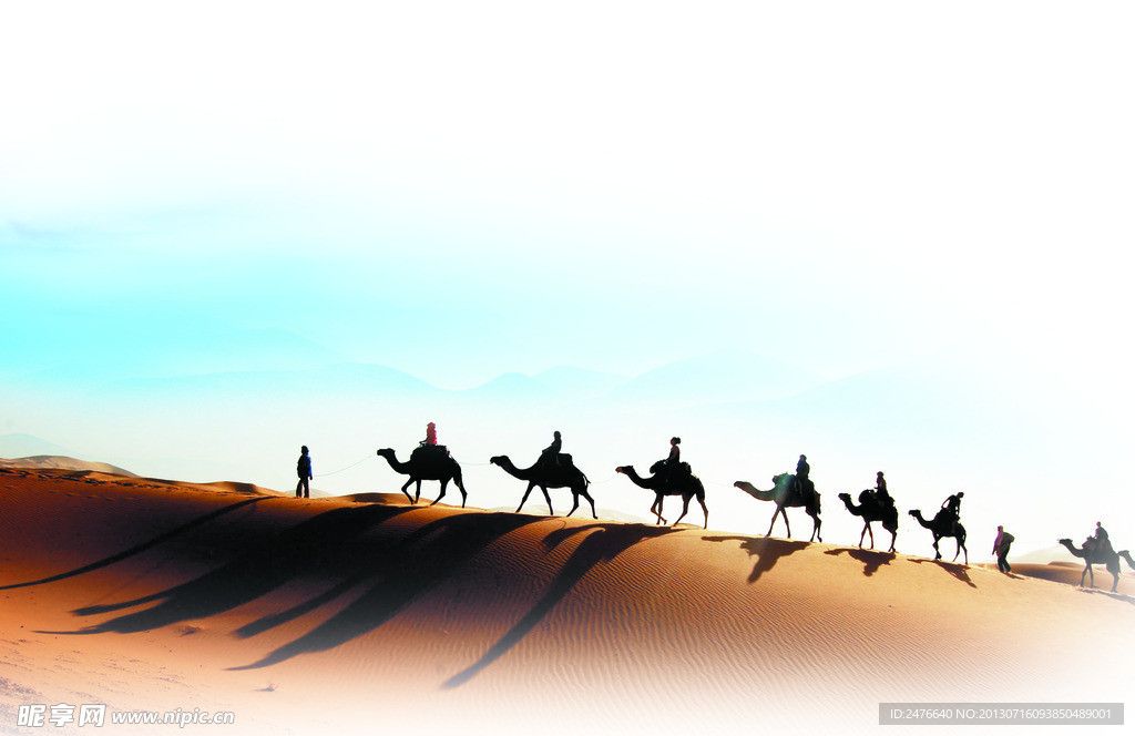 骆驼 企业文化