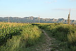 青草小路