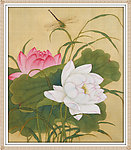 荷花蜻蜓图
