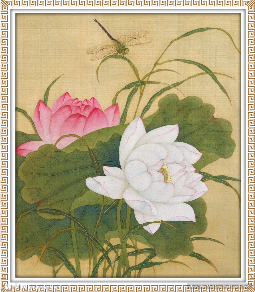 荷花蜻蜓图