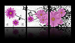 清新雏菊三联画