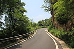 道路