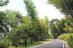 道路