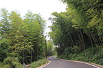 道路