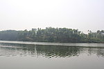 小岛
