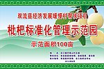 枇杷标准化管理示范园