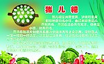 猪儿粑展板