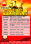 招聘海报