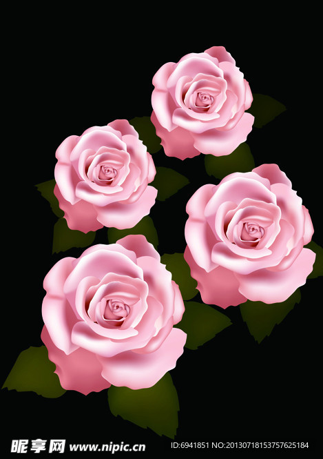 月季花矢量图